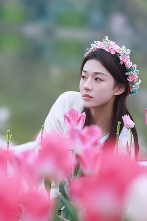 欧美阿视频在线资源